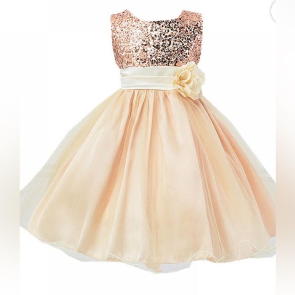Champagne Sequin and Tulle A-Line Party Dress with Flower Accent